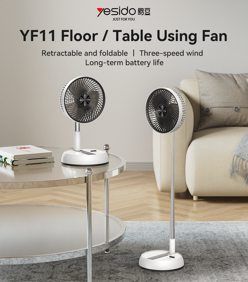 Premium Folding Fan
